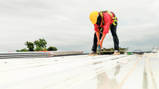 Best Steel Roofing  in Gallup, NM