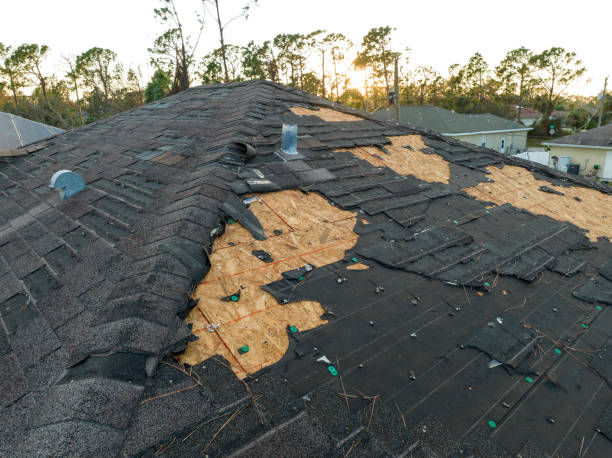 Best Roof Insulation Installation  in Gallup, NM